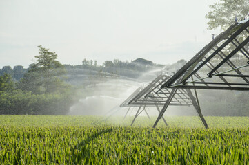 agriculture eau sécheresse arrosage culture céréales