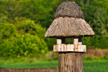 bird feeder made of reed and birch