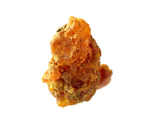 Sweet Myrrh (Opoponax) Isolated on White Background.