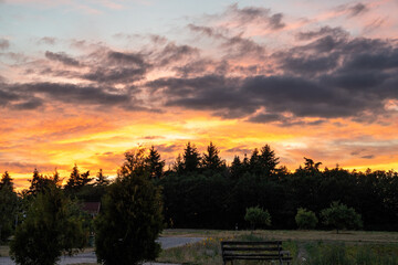 Naklejka na ściany i meble beautiful colorful sunset sky over black forest pine trees