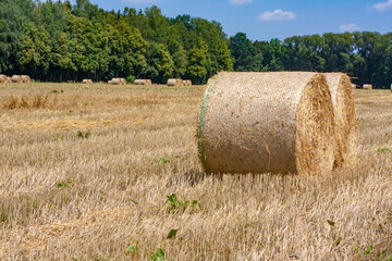 landwirtschaft, Strohballen, Ernte