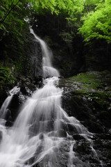 Fototapeta na wymiar 愛媛県の白糸の滝　縦構図 