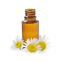 Chamomile flowers with cosmetic oil