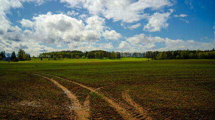 Fototapeta na wymiar Spring in the fields of Latvia on a sunny day. In the foreground, tractor tracks are visible in an agricultural field. Young green shoots on a forest background