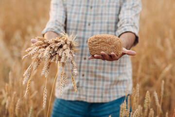 Man farmer holds sheaf of wheat ears and bread in cereal field background at sunset. Farming and agricultural harvesting