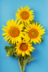 Obraz premium A bouquet of sunflower seed flowers on a blue background.