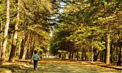 walking in the park