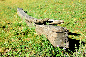 Old wooden beam abandoned in the grass