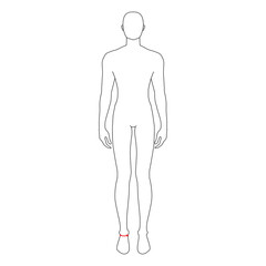 Men to do high ankle measurement fashion Illustration for size chart. 7.5 head size boy for site or online shop. Human body infographic template for clothes. 