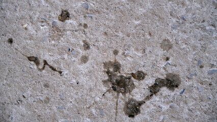 
Concrete surface of a building wall.
Defocused background for web design