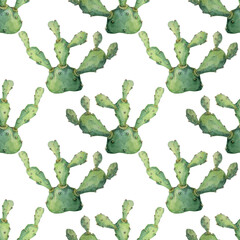 Seamless pattern watercolor hand-drawn green succulent opuntia home plant on white background. Art creative nature object for card, sticker, wallpaper, textile or wrapping