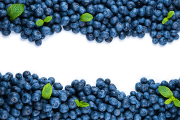 Fresh blueberry and mint isolated on white background.