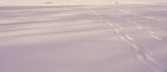 Snow with footprints and shadows as a natural background.