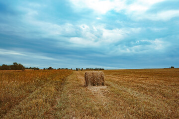 field of grass and haystacks