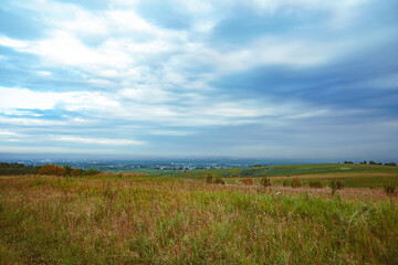 grass field and cloudy sky