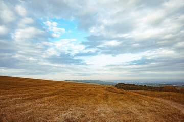 grass field and cloudy sky