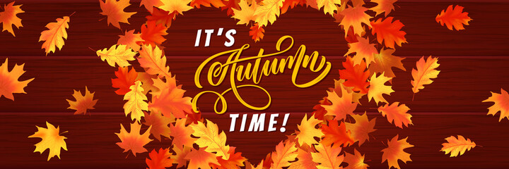 Autumn background, red and yellow leaves frame.  Vector illustration EPS10.