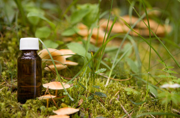 Mushroom Extract - Traditional Chinese Medicine