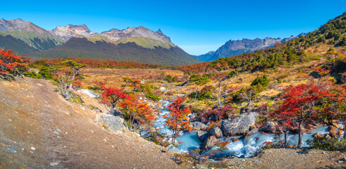 Panoramic view over magical austral forest, peatbogs dead trees, glacial streams and high mountains in Tierra del Fuego National Park, Patagonia, Argentina