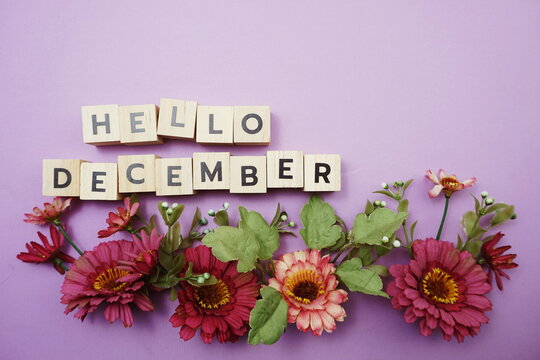 Hello December alphabet letters with pink flower decoration on purple background