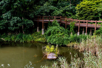 Elevated boardwalk on shore of small pond