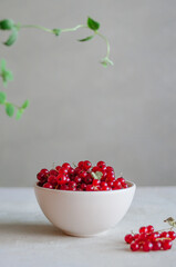 Bright fresh red currant in white bowl on table on grey background with green leaves frame 