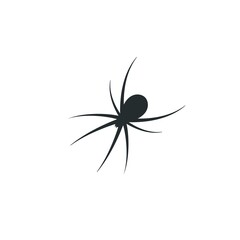 Spider vector icon. Common eight legged arachnid silhouette.