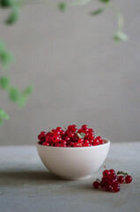Bright fresh red currant in white bowl on table on grey background with green leaves frame 