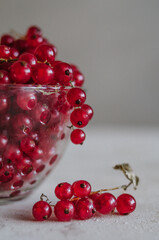 Bright macro of fresh ripe red currant in glass bowl