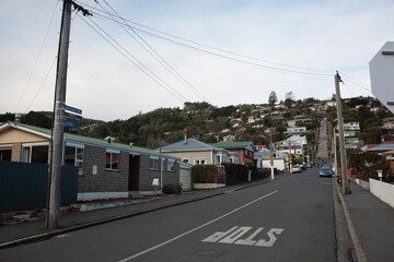Winter View of World’s steepest Street  Baldwin street in Dunedin New Zealand.
