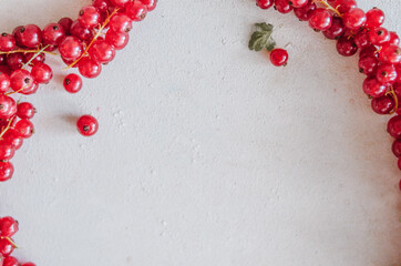 Bright red currant frame. Fresh ripe berries with copy space