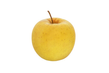  fruit one yellow apple on a white background
