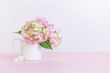Romantic bouquet of pink Hydrangea flower in a jar on a pink background.