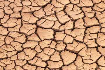 Background brown ground, which cracked.