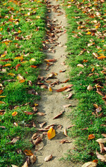 秋　落ち葉　小道　素材