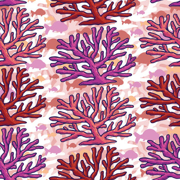 Beautiful Coral Seamless Pattern