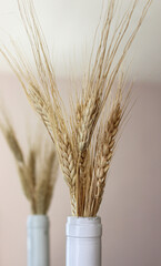 A bouquet of spikelets of wheat and its reflection in the mirror