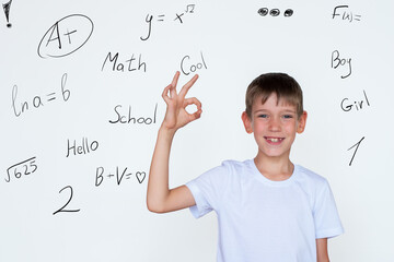 Portrait of a cute Caucasian boy showing ok, success, consent gesture. Successful study concept....