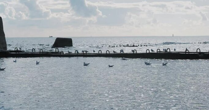 Seagulls sit on rusty railings. Tranquil sea surf at daylight, Sochi, Russia.