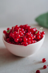 Bright fresh red currant in ivory bowl on white background 