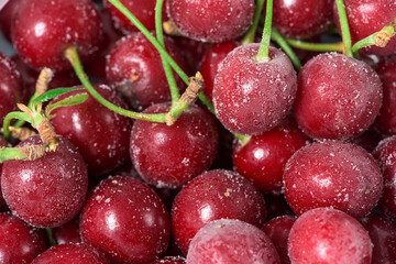 frozen cherries are covered with ice crystals and frost for winter home preparation in the freezer.
