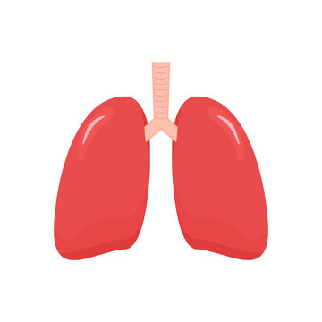 Lungs icon in flat style. Internal human organ vector illustration isolated on white background. 