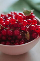 Bright fresh red currant in ivory bowl in morning light 