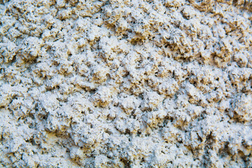 The interesting structure of the stone was photographed in close-up.