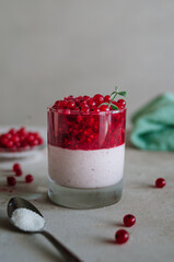 Delicious italian pana cotta with ripe red currant. Fresh healthy dessert in glass with bright berries and mint leaves. Fragrant pannacotta on the table