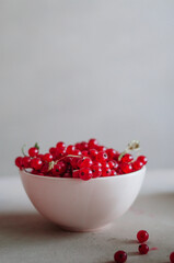 Bright fresh red currant in white bowl on grey background close up