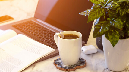 Laptop with coffee on the table. Working atmosphere. Green flower, open book, headphones, sunlight. Morning at work. The beginning of the day.