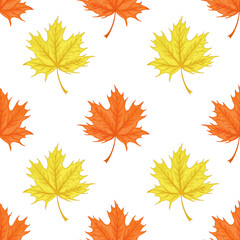Vector autumn maple leaves seamless pattern on white background.