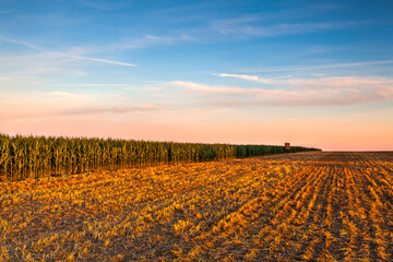 Lookout tower between corn field and empty field after harvesting.