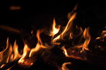 Fototapeta premium Burning wood at night. Campfire at touristic camp at nature in mountains. Flame amd fire sparks on dark abstract background. Cooking barbecue outdoor. Hellish fire element. Fuel, power and energy